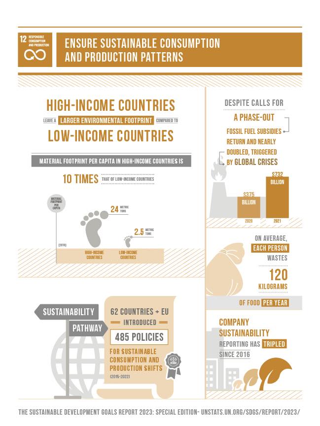 SDG 12 Sustainable Consumption for Megacities and Food Waste